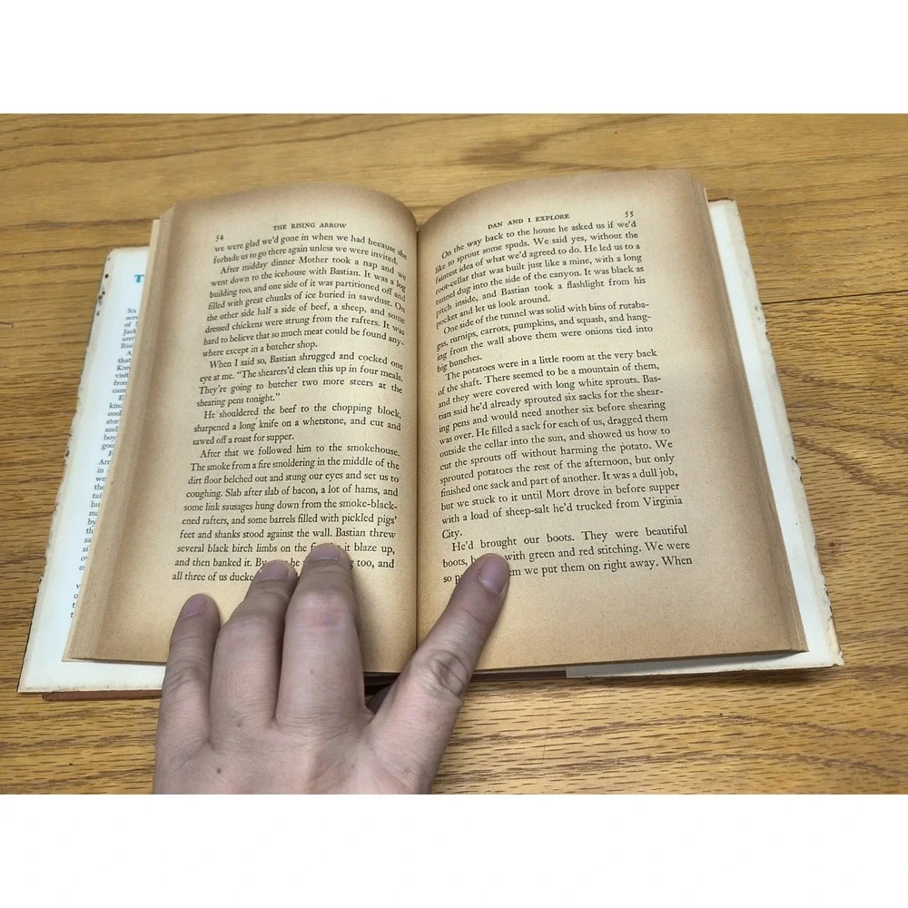 The Rising Arrow - by Hughie Call - 1955 Weekly Reader‎ Children Hardcover